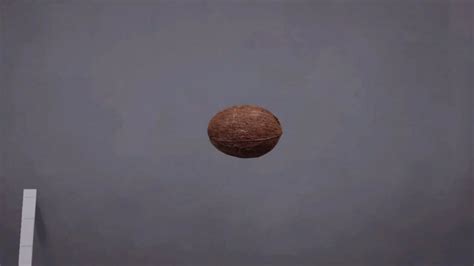 tf2 coconut|The (apparent) Destroyer of Team Fortress 2 Code .